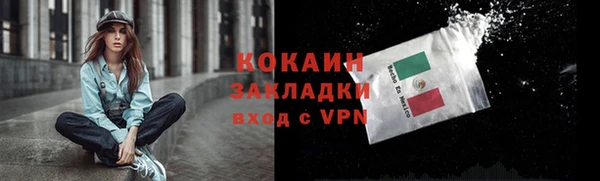 2c-b Горняк