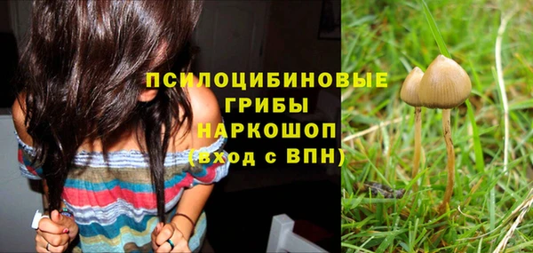 гашик Горнозаводск