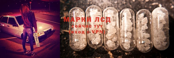 СК Волосово